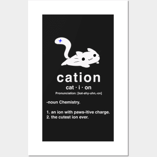 Cation. Cat with positive ion. Chemistry Pun. Posters and Art